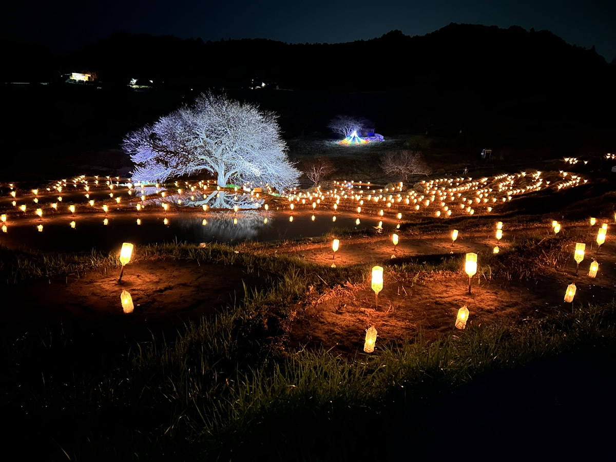 せんがまちのあぜ道アート