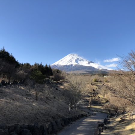 富士山こどもの国
