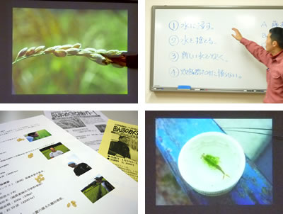 お米セミナーの様子