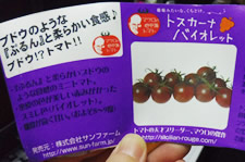 トスカーナバイオレットの説明