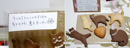 ネコ好きの人の特長？