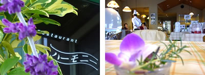 レストランハーモニ、入口と店内