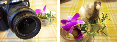 アル・パカも同行