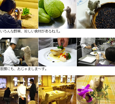 食材・厨房・料理の撮影