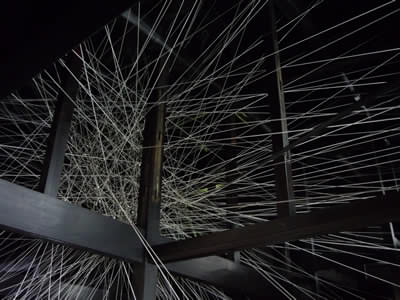 たくさんの糸がはりめぐらされた作品