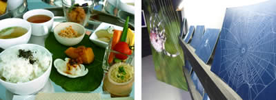 ランチ、クモの巣