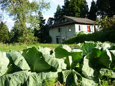 桐山の家「BankART妻有」