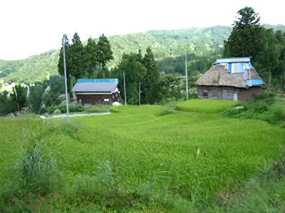 空き家となった古民家