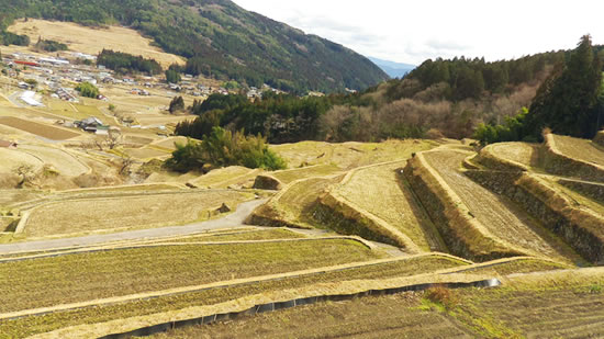 岐阜県恵那市の坂折棚田