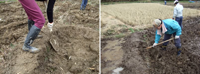 棚田畦作り